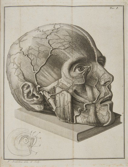 Oculistica - Scarpa, Antonio. Saggio di Osservazon: Oculistica - Scarpa, Antonio. Saggio di Osservazoni e d'Esperienze Sulle Principali Malattie degli Occhi. Pavia, Baldassare Comino, 1801. In 2°. Ritratto dell'autore a piena pagina in ant