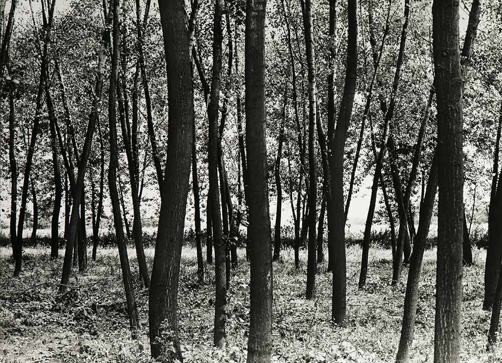 Gabriele Basilico (1944-2013): Rivalta Scrivia, 1970