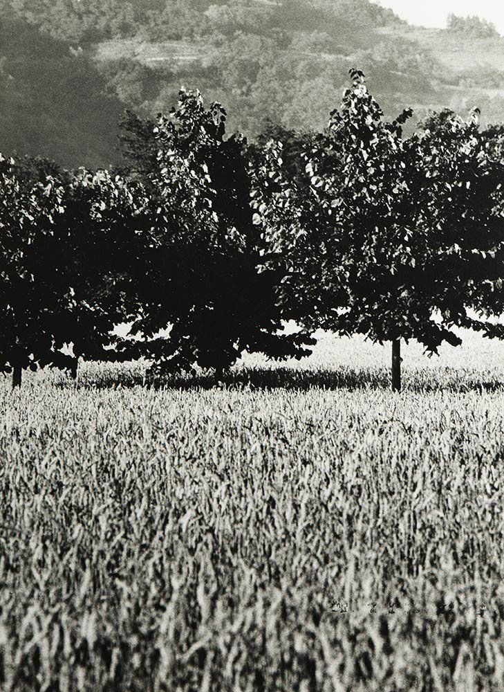 Gabriele Basilico (1944-2013): Novi, 1970