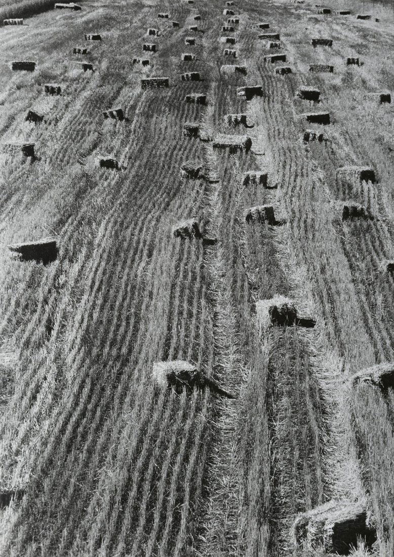 Gabriele Basilico (1944-2013): Novi, ca. 1970 Stampa vintage alla gelatina sali d’argento. Timbro del fotografo al verso. cm 36 x 25,5 Vintage gelatin silver print. Photographer’s credit stamp on the verso. 1