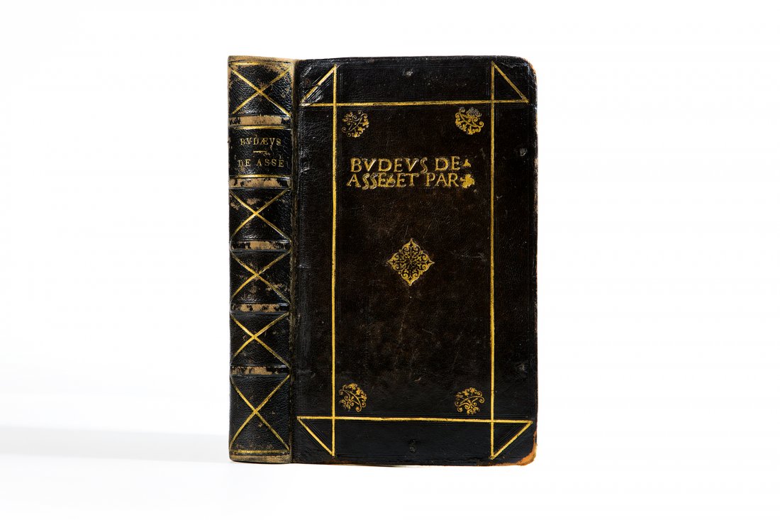 Aldina - Bude, Guillaume (1 of 1)