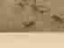 item-75656751=2