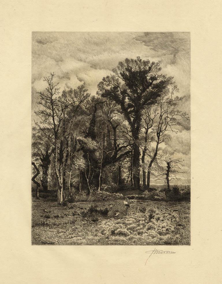 Peter Moran, The Edge of the Swamp, Etching: Title: The Edge of the Swamp. Artist: Peter Moran (1841-1914). Medium: Etching, 1886. Edition unknown. Image size 10 1/4 x 7 5/8" (26 x 19.4 cm). Description: Signed in pencil. After a painting by