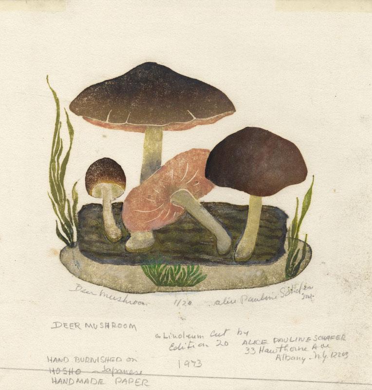 Alice P. Schafer, Deet Mushroom, Linocut (1 of 2)