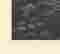 item-78611586=4