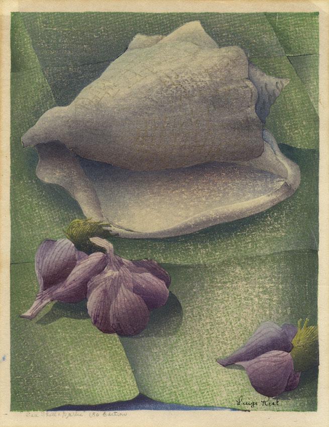 Luigi Rist, Sea Shell and Garlic, Color woodcut: Title: Sea Shell and Garlic. Artist: Luigi Rist (1888-1959) Medium: Color woodcut, 1947. Edition 150. Signed in ink within the image. Titled and inscribed "150 Edition" in pencil. Image size 9 1/