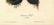 Audubon octavo, American Swift. Pl. 44, Litho - 2