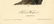 Audubon octavo, Harris's Woodpecker. Pl. 261 - 2
