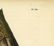 Audubon octavo, Harris's Woodpecker. Pl. 261 - 3