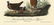 Audubon octavo, Ground Dove. Pl. 284, Litho - 3