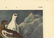 Audubon octavo, Rock Ptarmigan. Pl. 301, Litho - 4