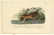 Audubon octavo, Great Red breasted Rail. Pl. 309