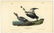 Audubon octavo, Pied Duck. Pl. 400, Lithograph