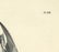 Audubon octavo, Black Tern Pl. 438, Lithograph - 2