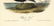 Audubon octavo, Black Tern Pl. 438, Lithograph - 3
