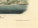 Audubon octavo, Noddy Tern. Pl. 440, Lithograph - 3