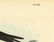 Audubon octavo, Noddy Tern. Pl. 440, Lithograph - 4