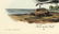 Audubon octavo, Fork-tailed Gull. Pl 441, Litho - 2