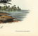 Audubon octavo, Fork-tailed Gull. Pl 441, Litho - 3