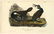 Audubon octavo, Common Cormorant. Pl. 415, Litho