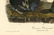 Audubon octavo, Common Cormorant. Pl. 415, Litho - 2