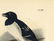 Audubon octavo, Little Auk-Sea-dove. Pl. 469 - 4