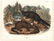 Audubon Imperial Quadrupeds, Mink Pl. 33
