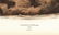 Audubon Imperial Quadrupeds, Mink Pl. 33 - 3
