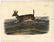 Audubon Imperial Quadrupeds, Long-Tailed Deer