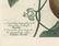 Johann W. Weinmann, Cucurbita, Squash, Engraving - 2