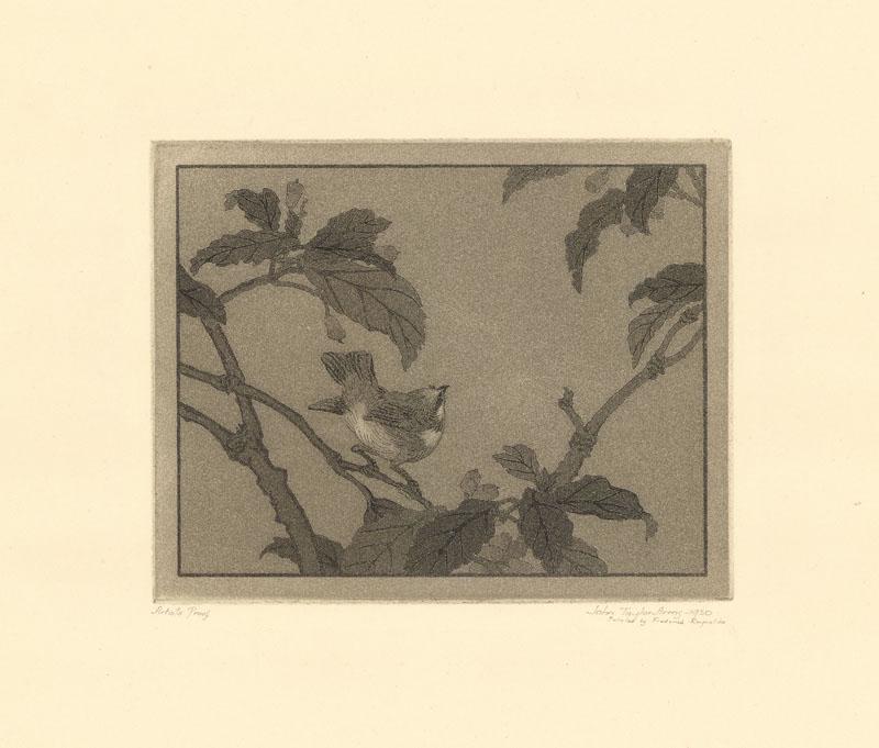 John Taylor Arms, Early Bird, Etching & aquatint (1 of 4)