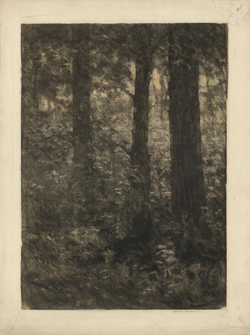 Albert W. Barker, Woodlands, Charcoal Drawing (1 of 2)