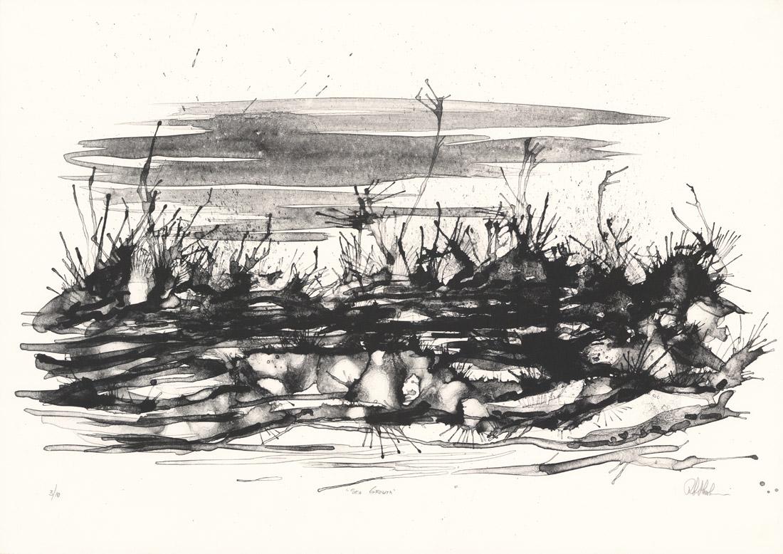 Richard Florsheim, Sea Growth, Lithograph (1 of 3)