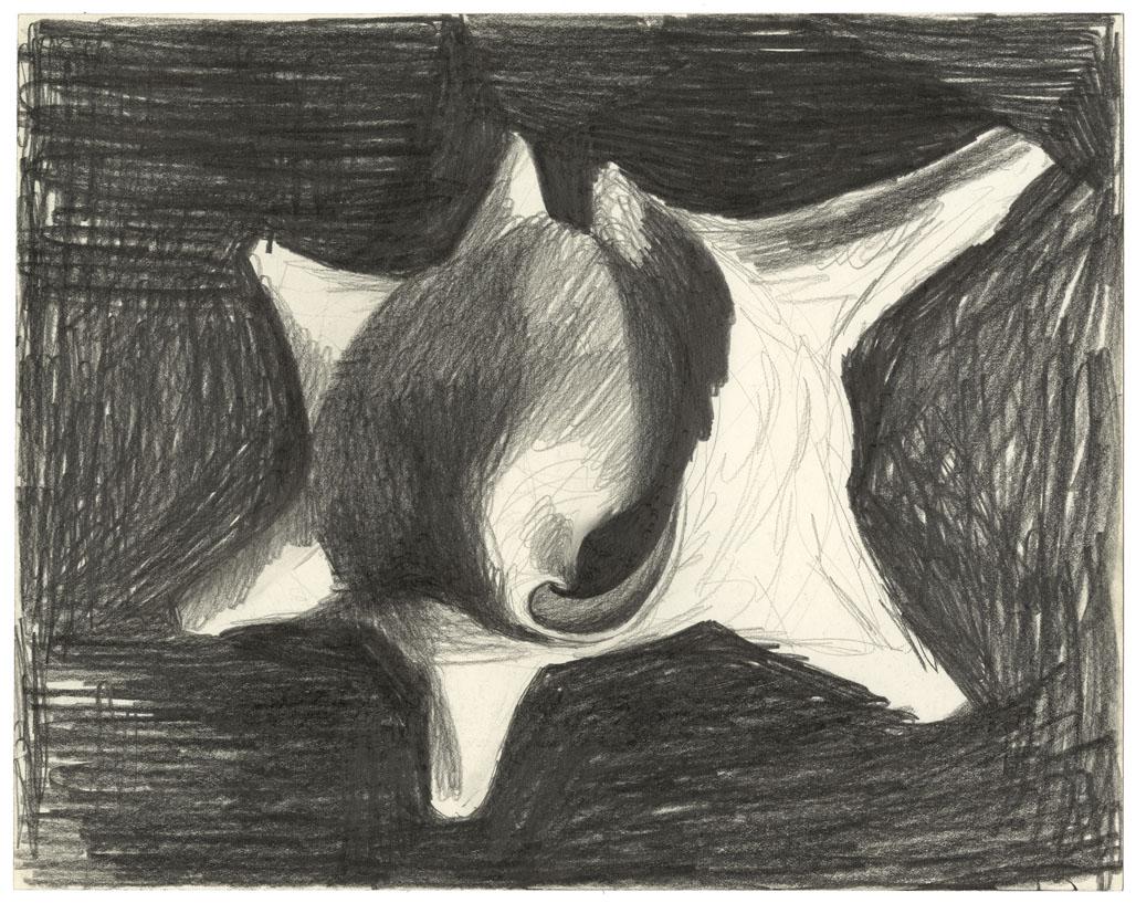 Emilio Sanchez, Conch Shell, Drawing (1 of 1)