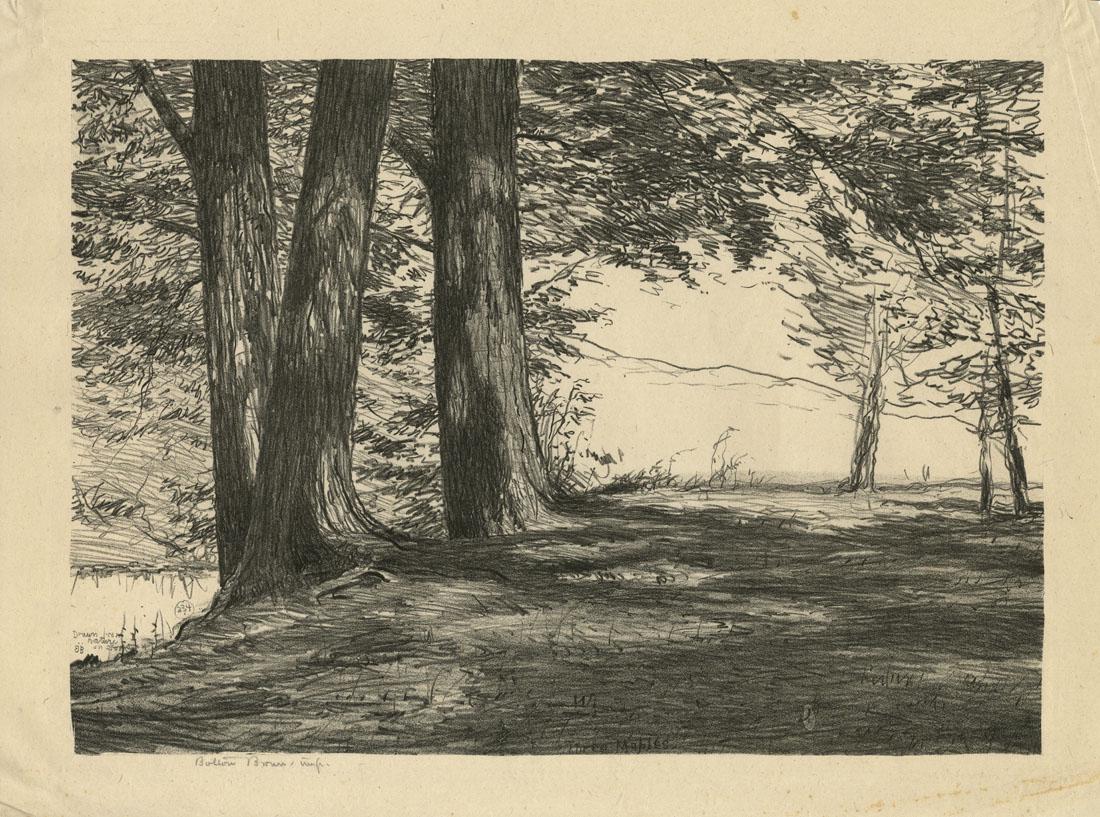 Bolton Brown, Three Maples, Lithograph (1 of 2)