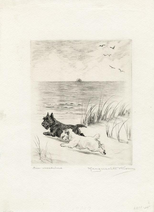 Marguerite Kirmse, Sea Urchins, Etching (1 of 2)