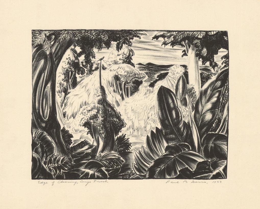 Paul B. Travis, Edge of Clearing, Congo Forest (1 of 4)