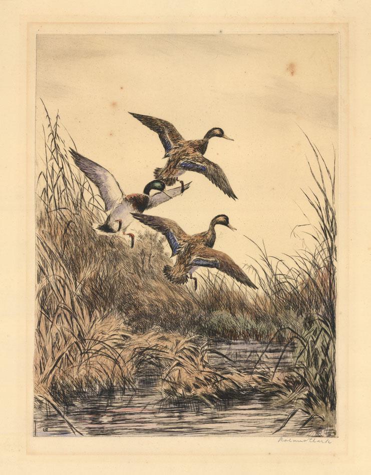 Roland Clark, Marsh Mallards, Etching (1 of 2)