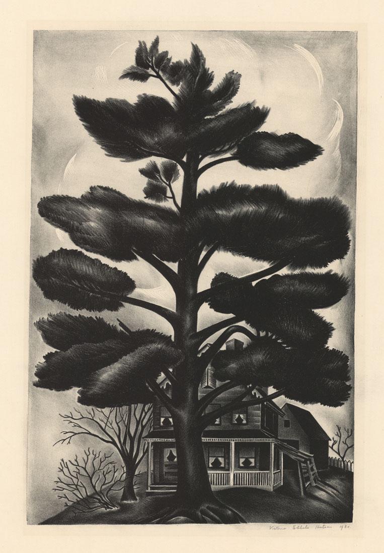 Victoria Hutson Huntley, Pine Tree: Title: Pine Tree. Artist: Victoria Hutson Huntley (1900-1971) Lithograph, 1930. Edition not noted. Signed "Victoria Ebbels Hutson" and dated in pencil. Image size 14 1/8 x 9 3/8" (36 x 23.7 cm). Victo