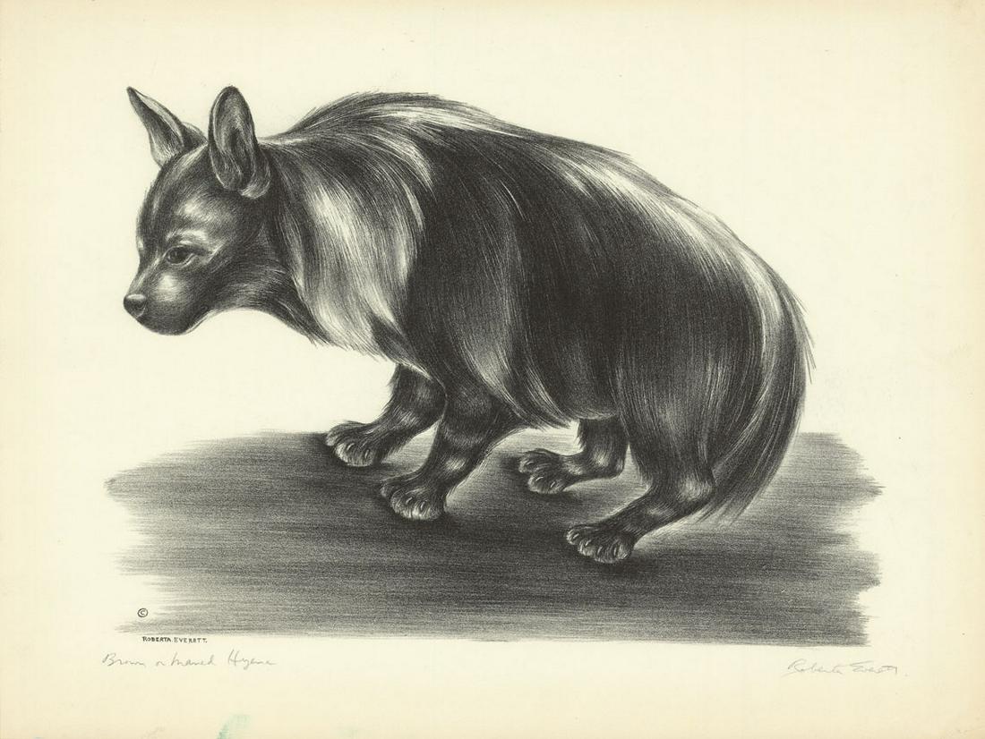 Roberta Everett, Brown or Maned Hyena (1 of 3)