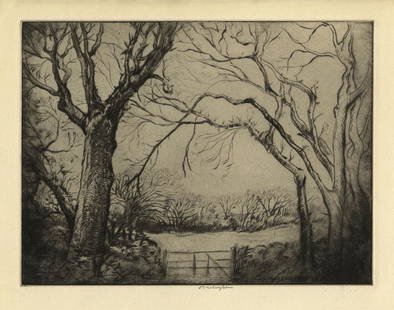 Donald Shaw MacLaughlan, Tragenna Wood, Etching: Title:  Tragenna Wood.  Artist: Donald Shaw MacLaughlan (1876 -1938)  Medium: Drypoint, 1919.  Edition not noted. Signed in pencil. Also signed within the plate. Image size 7 1/8 x 9 1/2" (17.6 x 23.5