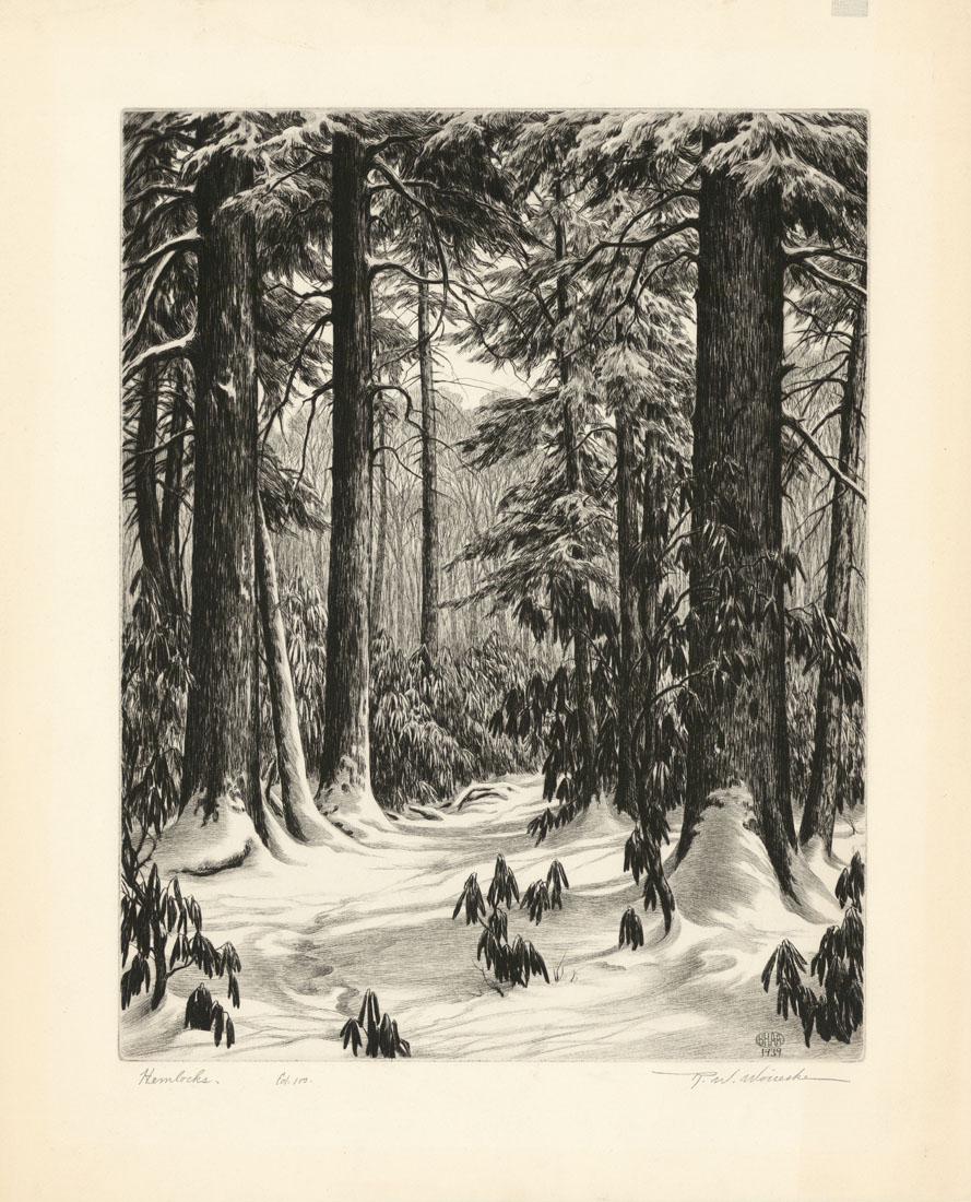 Ronau W. Woiceske, Hemlocks, Etching (1 of 3)