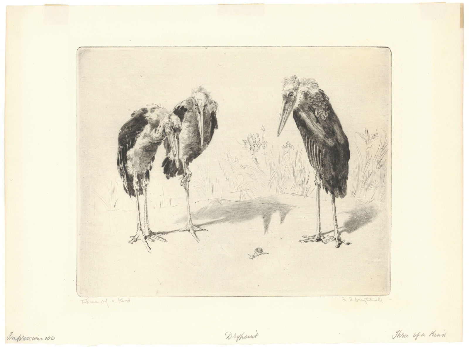 Leonard Robert Brightwell, Three of a Kind, Drypoint engraving (1 of 3)