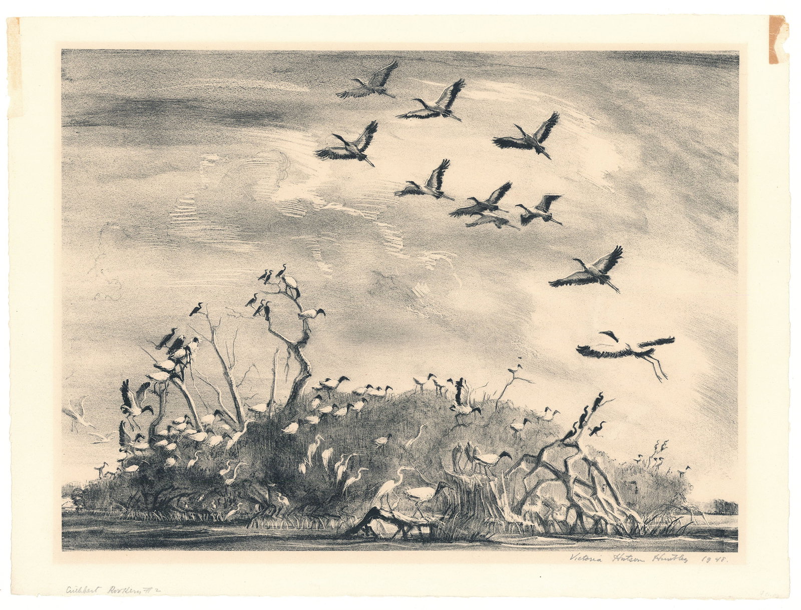 Victoria Hutson Huntley, Cuthbert Rookery 2., Lithograph: Title: Cuthbert Rookery 2. Artist: Victoria Hutson Huntley (1900-1971) Lithograph, 1948 Signed and dated in pencil Edition 75. Image size 11 3/4 x 16 1/4" (30 x 40.2 cm). #43 Illustrated in Great Amer