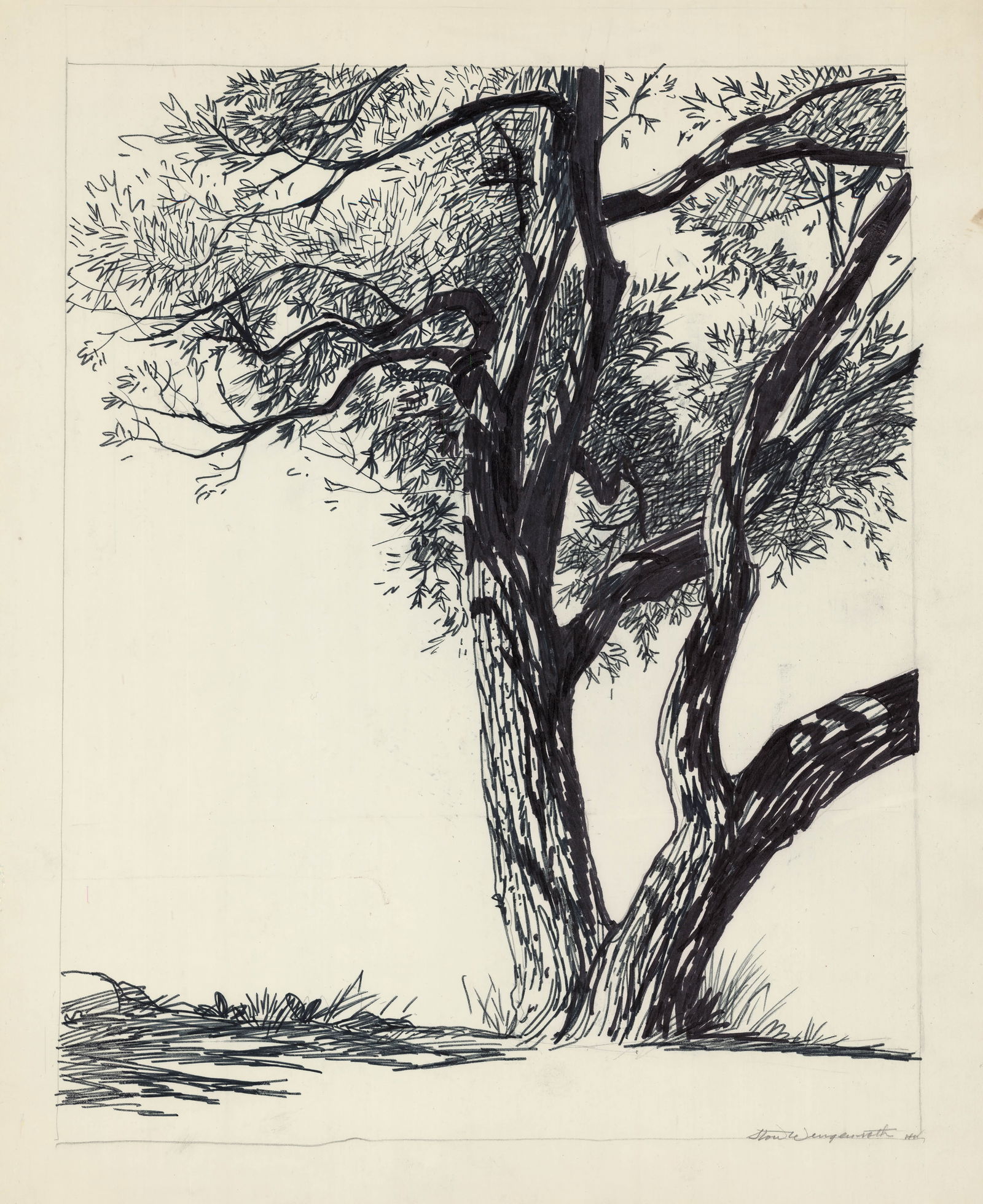 Stow Wengenroth, Willow (Untitled) Ink drawing on illustration board (1 of 2)