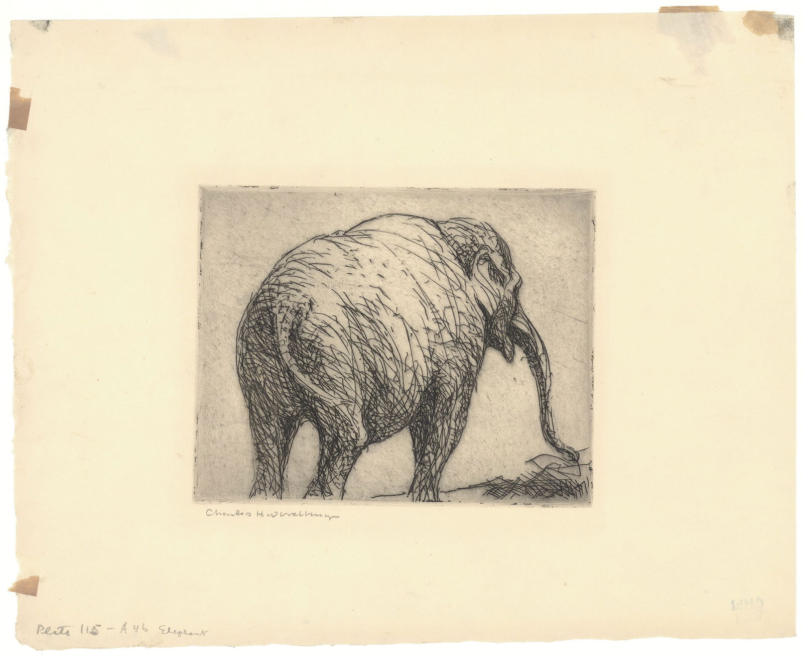 Charles H. Woodbury, Elephant, Etching (1 of 2)