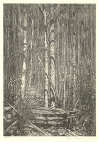 Albert W. Barker, The Virginia Fence, Lithograph