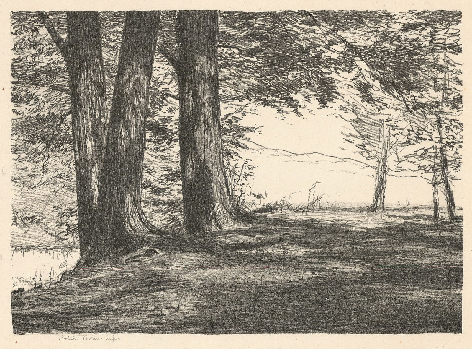 Bolton Brown, Three Maples, Lithograph (1 of 3)