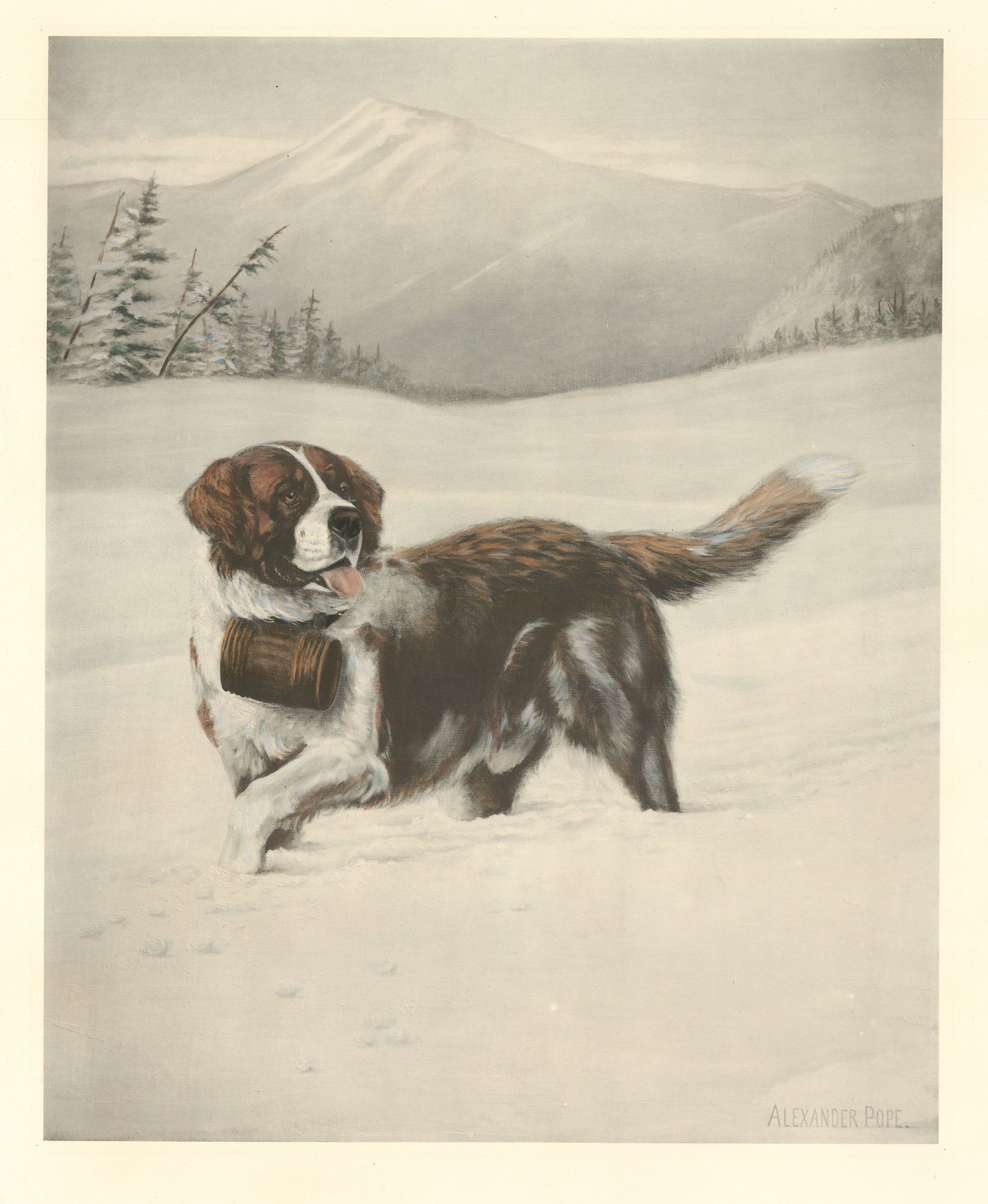 St. Bernard, Alexander Pope, Photogravure, 1889. (1 of 5)