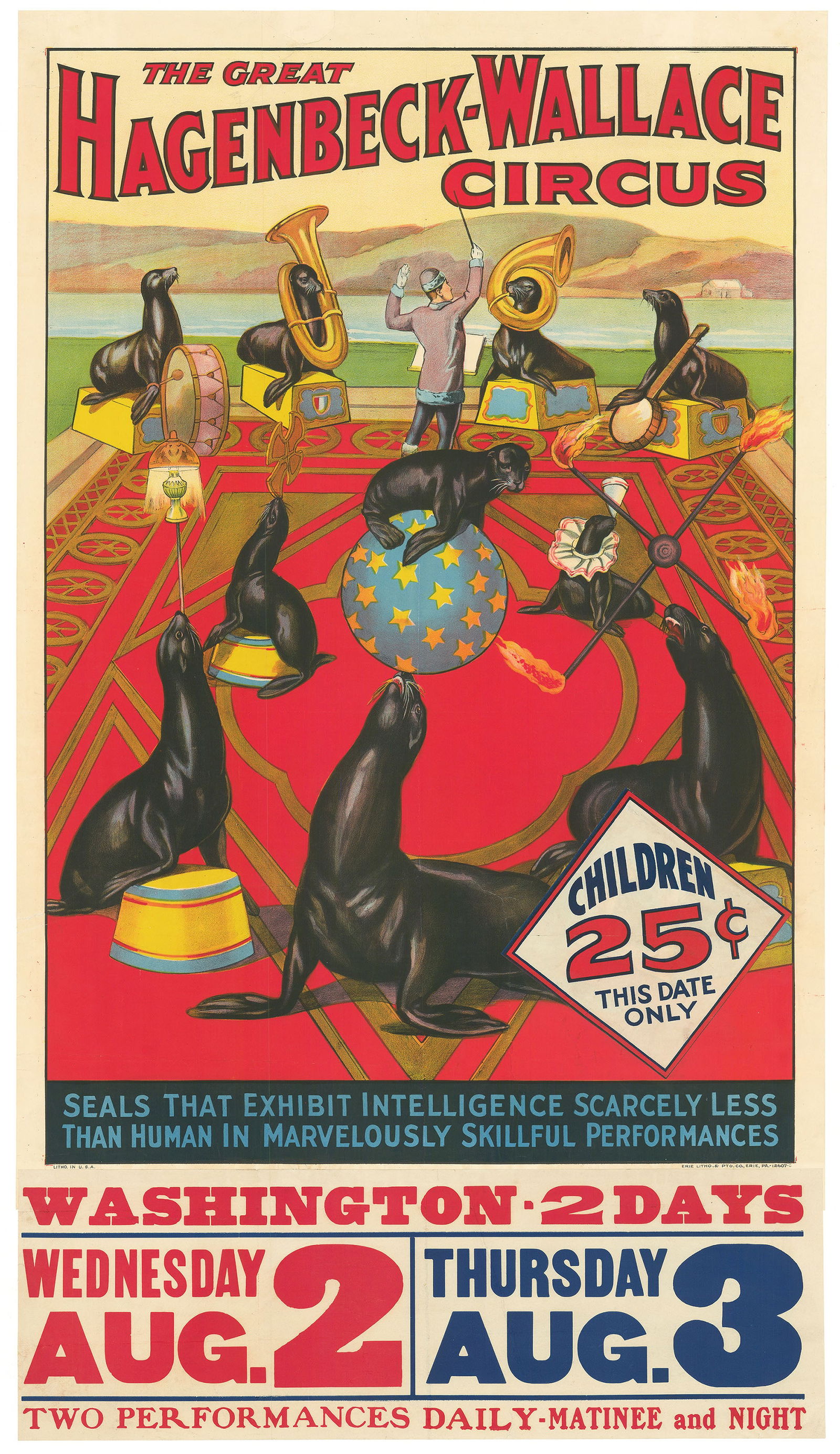 The Great Hagenbeck-Wallace Circus. Seals that Exhibit Intelligence Scarcely Less than Human in (1 of 4)